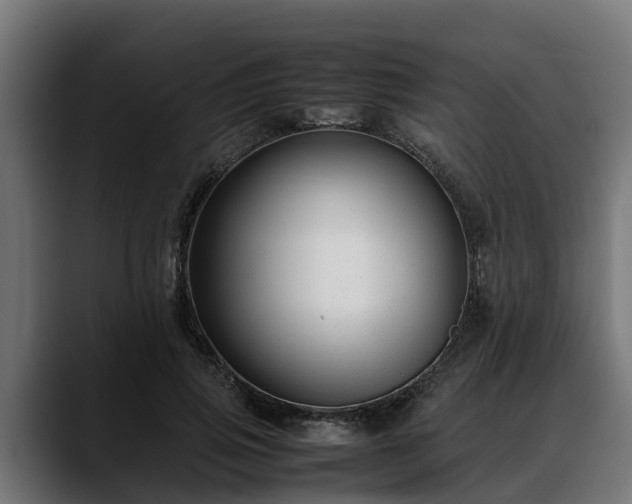 X0000088460741200705291530