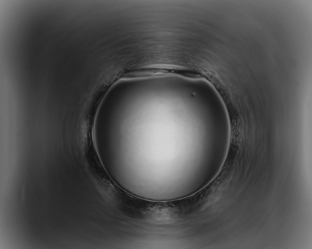 X0000088460742200705291530