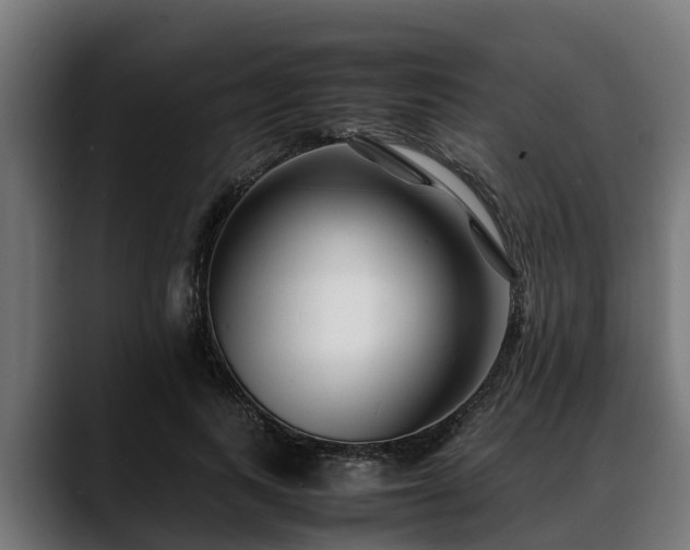 X0000088460743200705291530