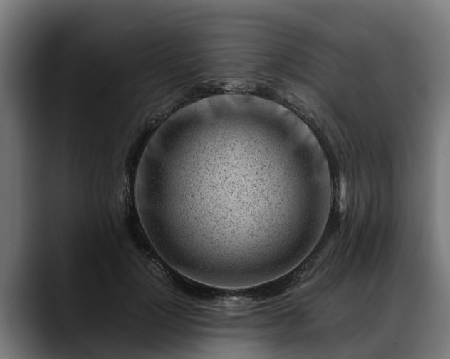 X0000088460748200705291530