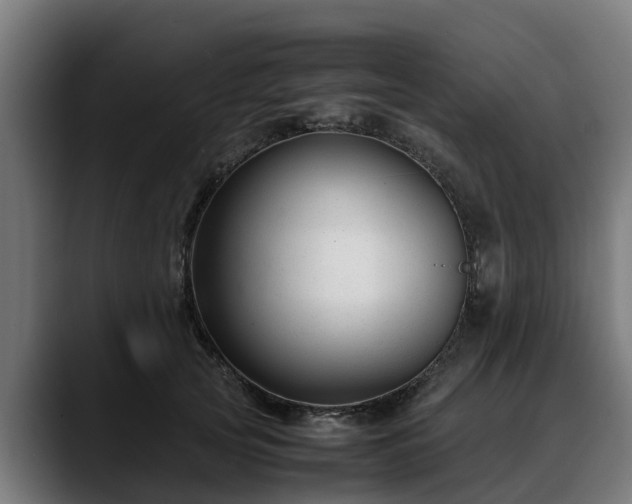 X0000088460753200705291530