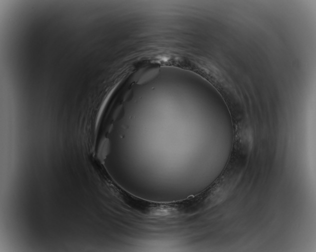 X0000088460754200705291530