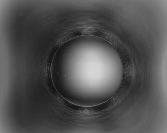 X0000088460755200705291530