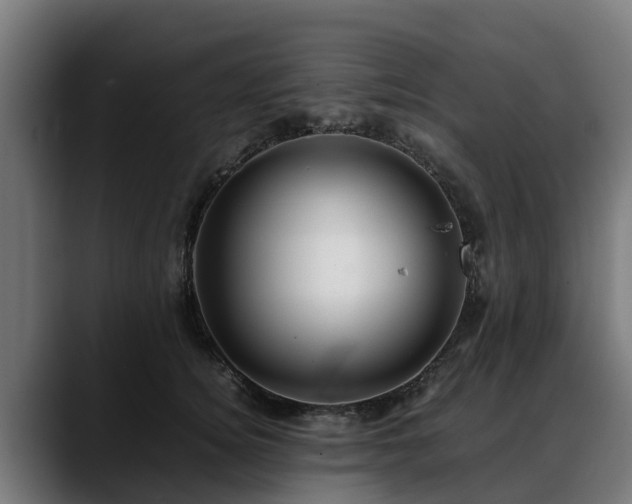 X0000088460756200705291530