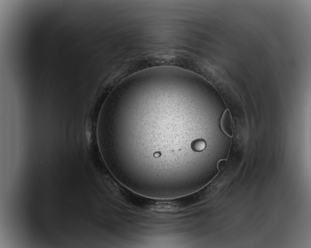 X0000088460758200705291530