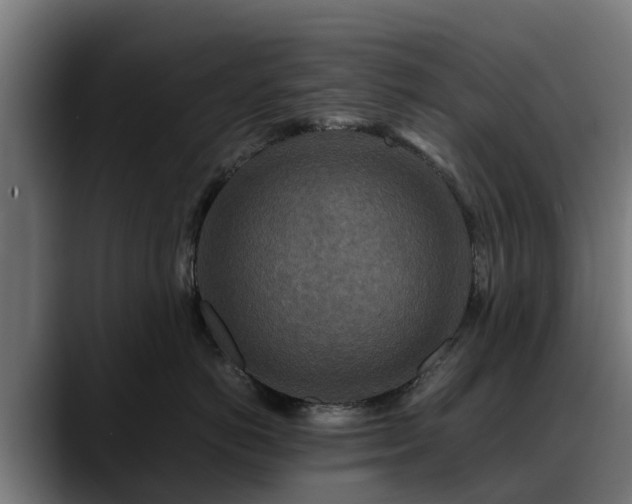 X0000088460766200705291530