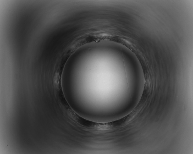 X0000088460767200705291530