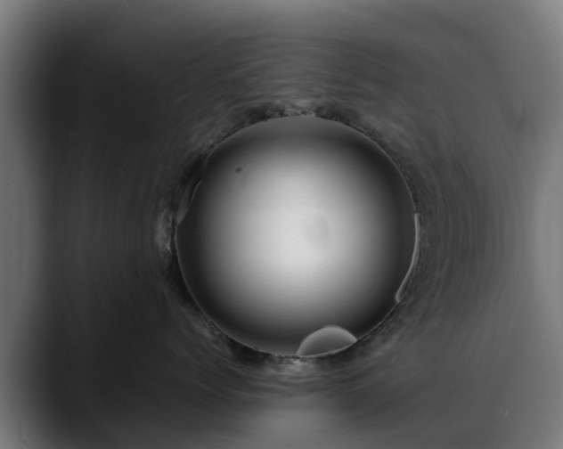 X0000088460768200705291530