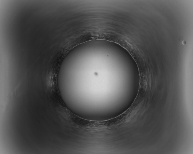 X0000088460770200705291530