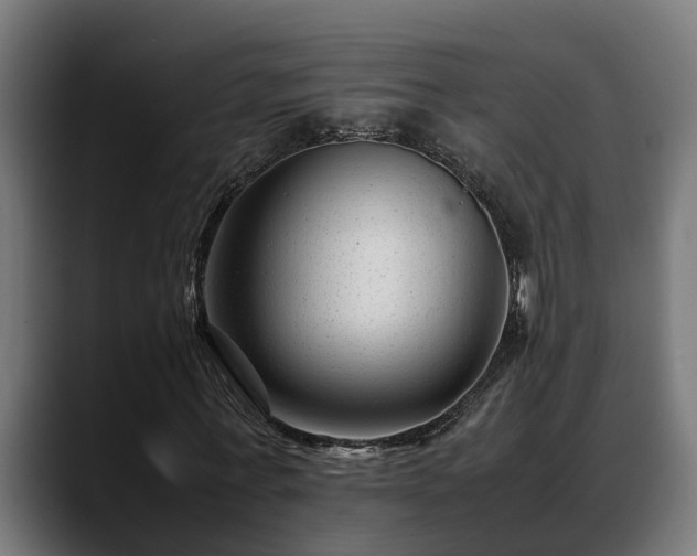 X0000088460771200705291530