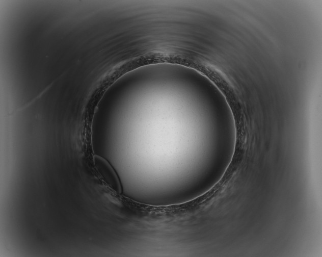 X0000088460776200705291530