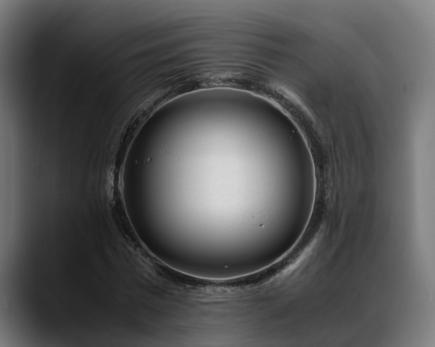 X0000088460777200705291530