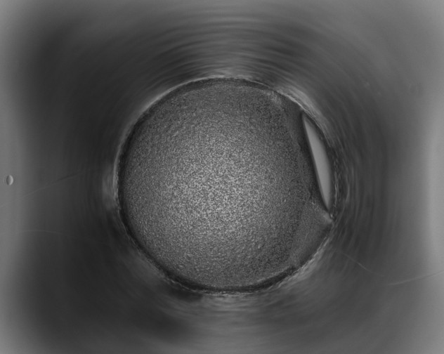 X0000088460780200705291530