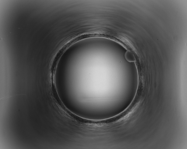 X0000088460781200705291530