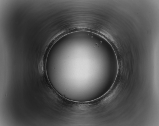 X0000088460782200705291530