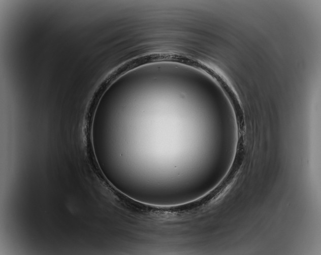 X0000088460783200705291530