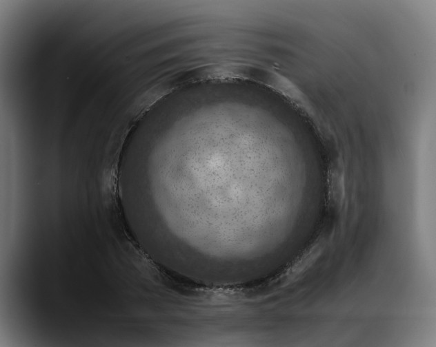 X0000088460785200705291530