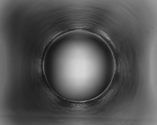 X0000088460786200705291530