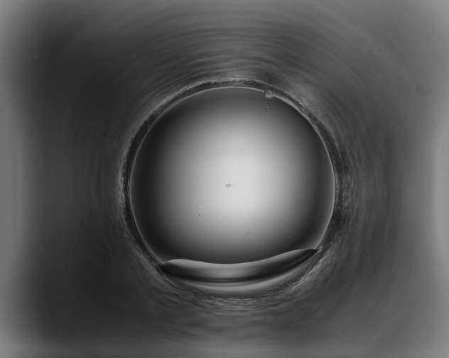 X0000088460789200705291529