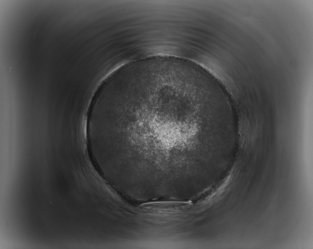 X0000088460790200705291529