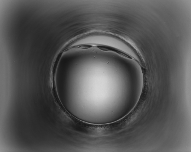 X0000088460791200705291529