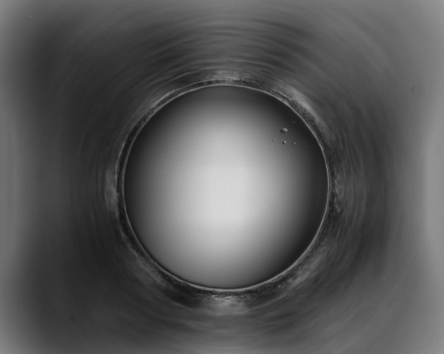 X0000088460794200705291529