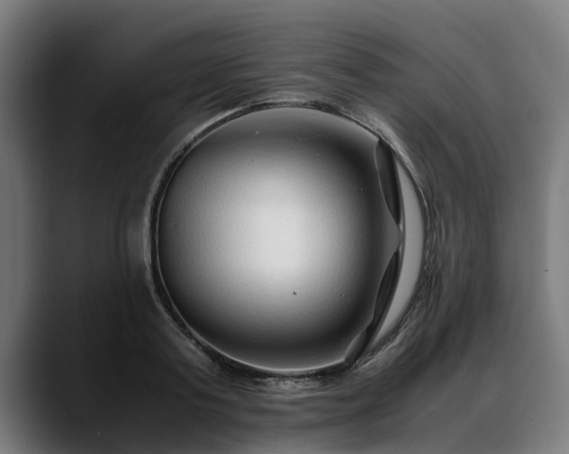 X0000088460795200705291529