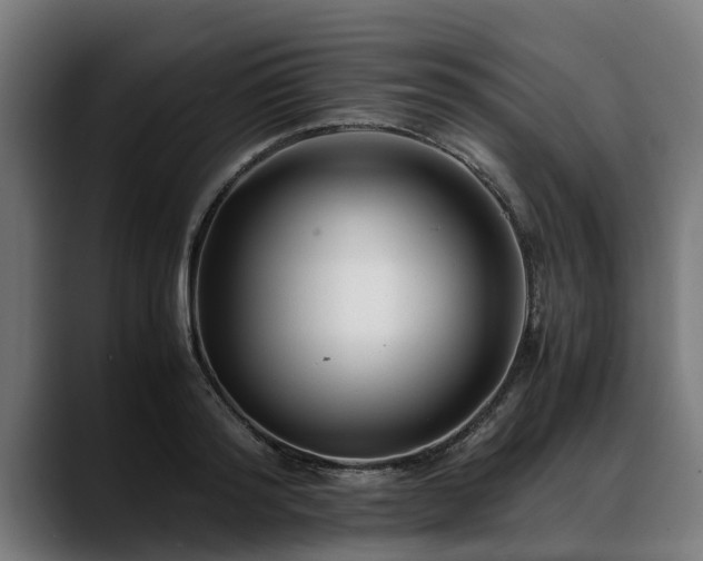 X0000088460796200705291529