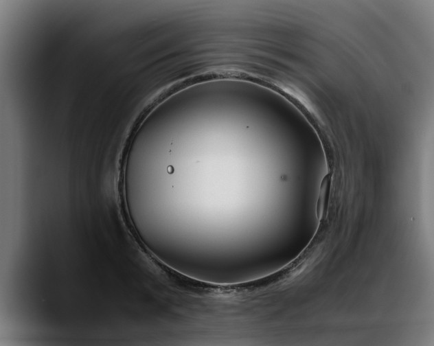 X0000088460799200705291529