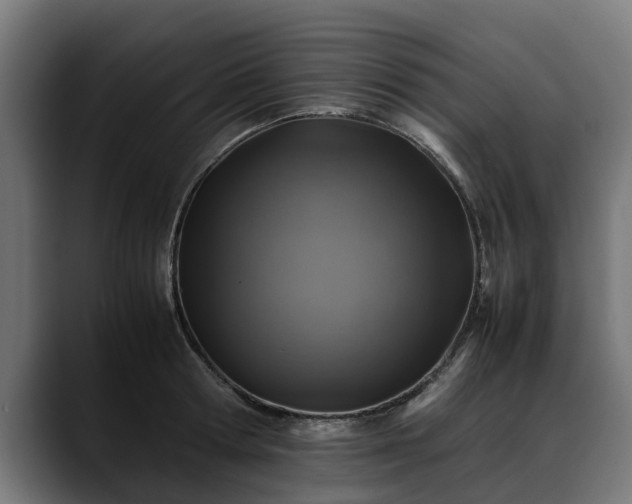 X0000088460802200705291529