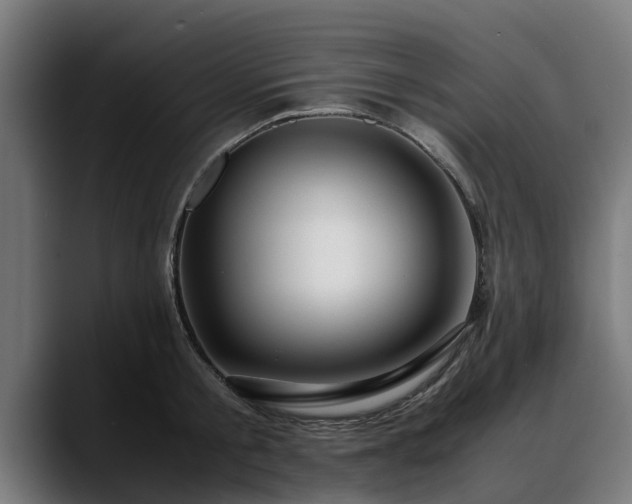 X0000088460805200705291529