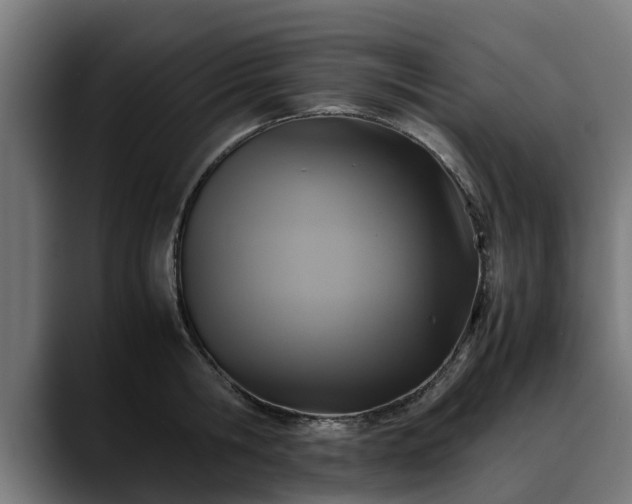 X0000088460806200705291529