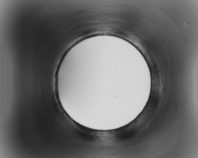 X0000088460807200705291529