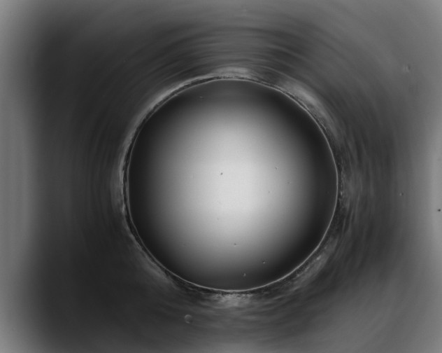 X0000088460808200705291529