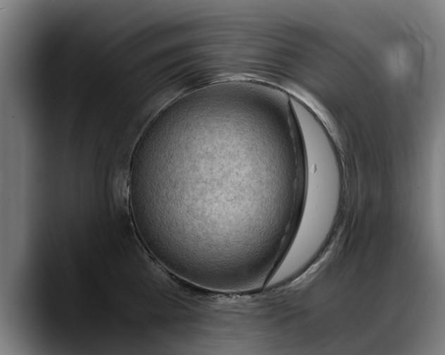 X0000088460809200705291529