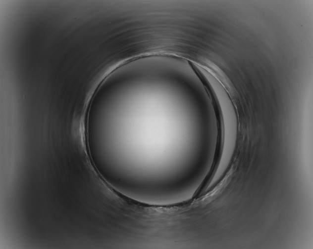 X0000088460812200705291529