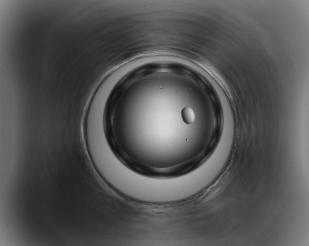 X0000088460813200705291529