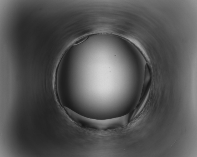 X0000088460815200705291529