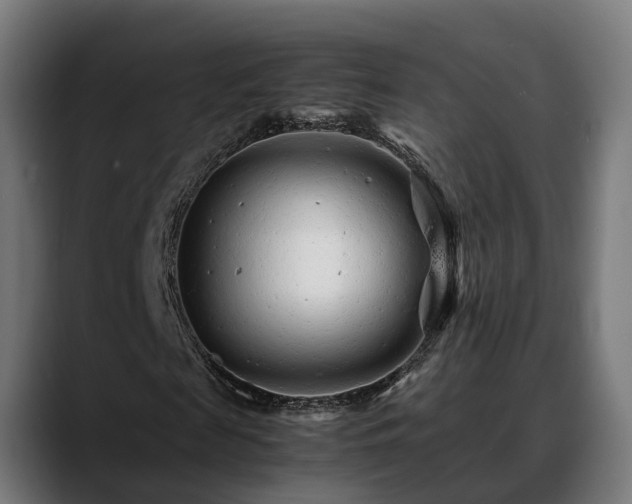 X0000088460817200705291529