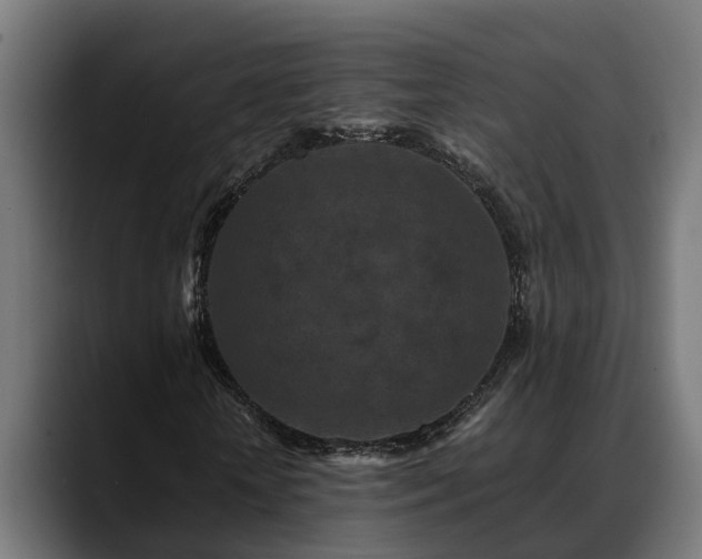 X0000088460818200705291529