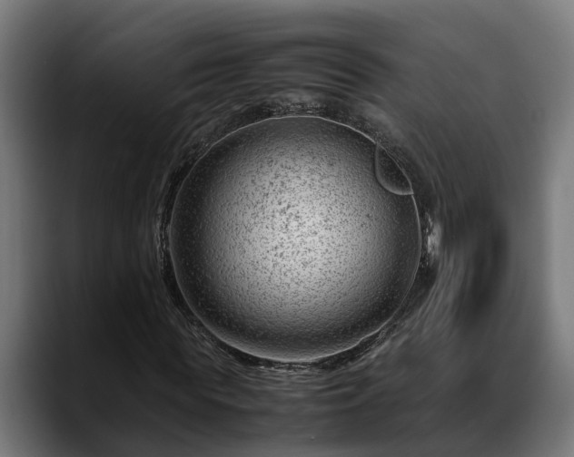 X0000088460819200705291529