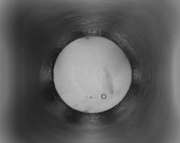 X0000088460820200705291529