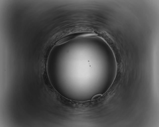 X0000088460821200705291529