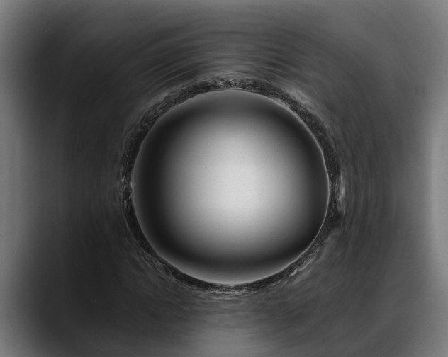 X0000088460822200705291529