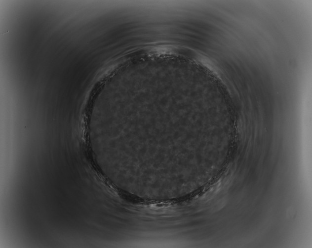 X0000088460823200705291529