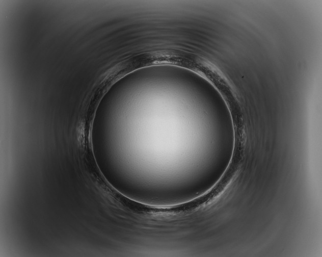 X0000088460825200705291529