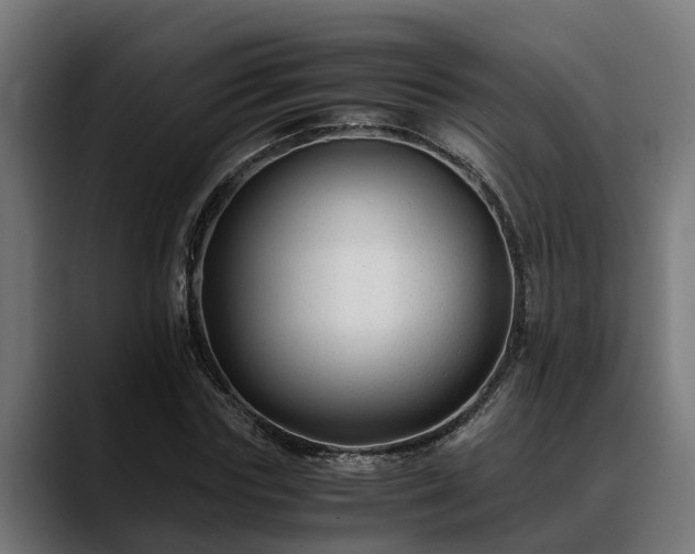 X0000088460827200705291529