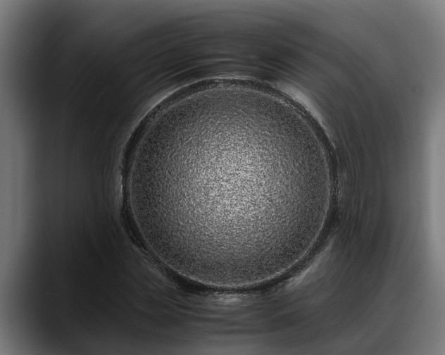 X0000088460829200705291529