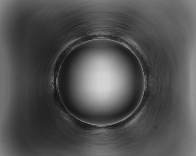 X0000088460830200705291529