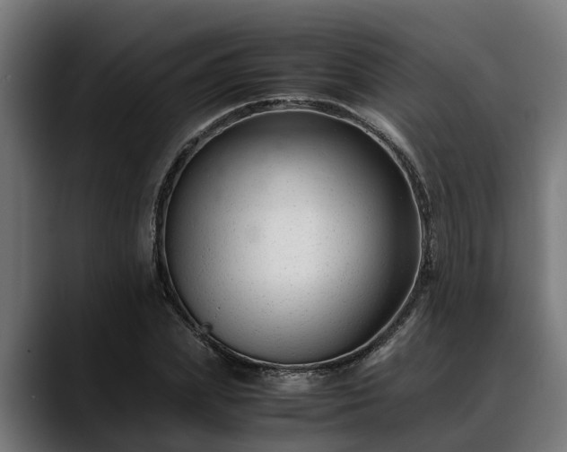 X0000088460831200705291529